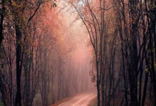 皮件制作视频教学教程大全,皮件手工基础