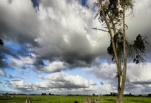 皮件制作视频过程教程全集,皮具制作方法