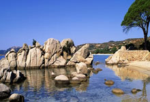 公事包制作流程图片大全,公事和工事的区别百度